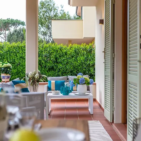 In Marina Near The *